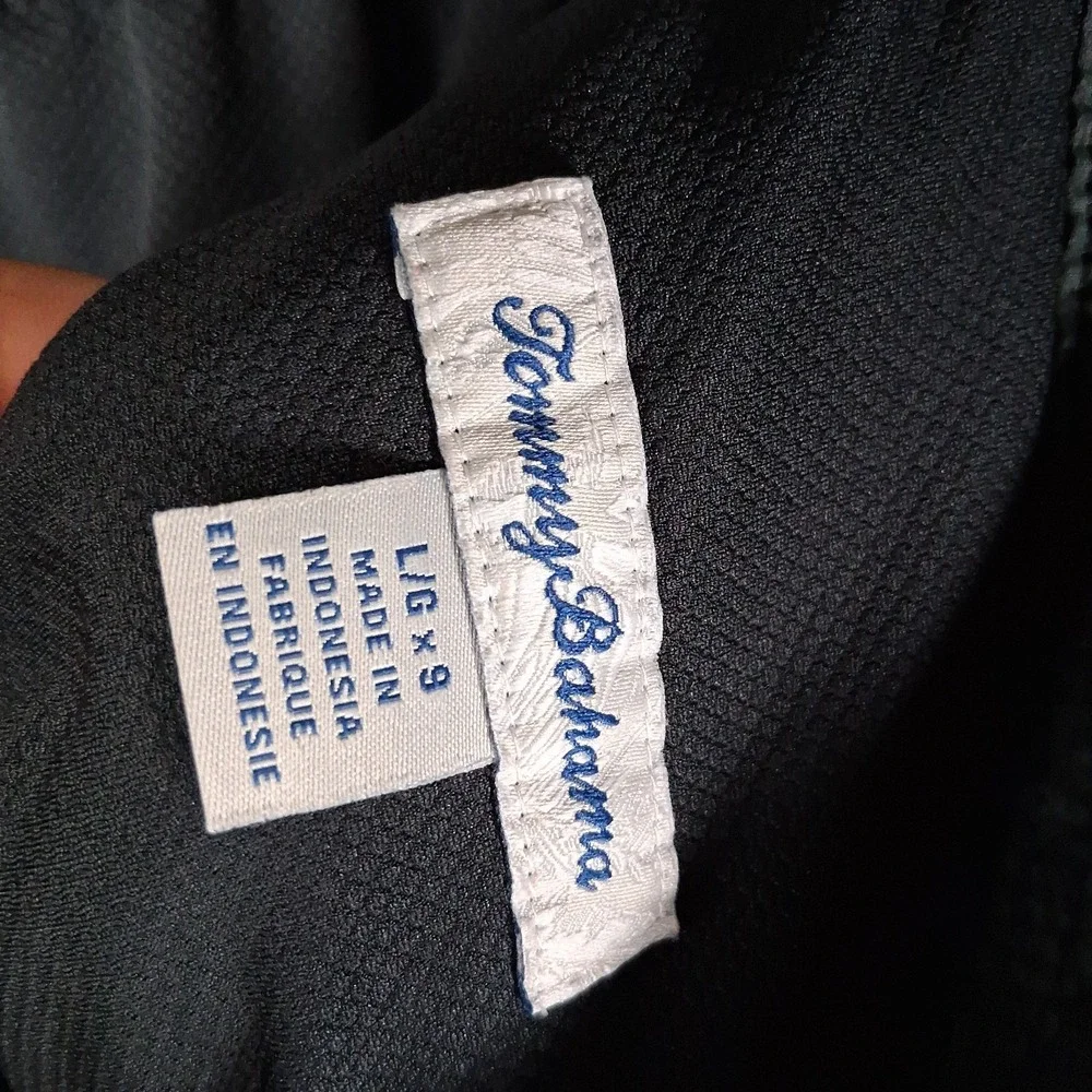 Tommy Bahama Baja Santiago Palms 9
